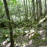 Inn Entre Lacs Et Volcans 3*