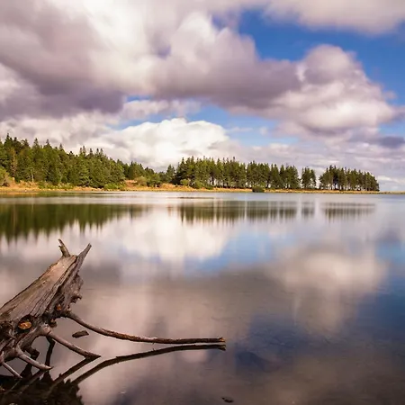 Entre Lacs Et Volcans
