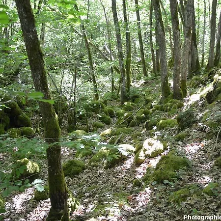 Han/Misafirhane Entre Lacs Et Volcans 3*